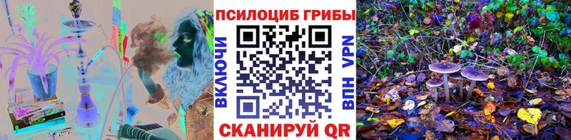 Галлюциногенные грибы Cubensis  Купить где  Пыталово 